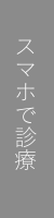 スマホ診療（遠隔診療）を見る